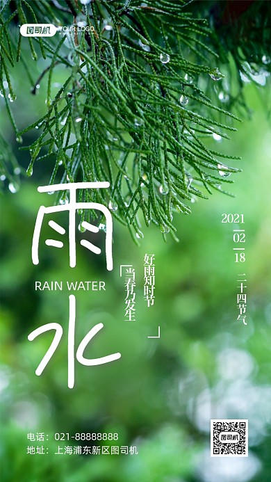 雨水二十四节气写实手机海报