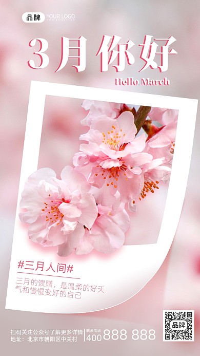 3月你好春天桃花摄影图海报