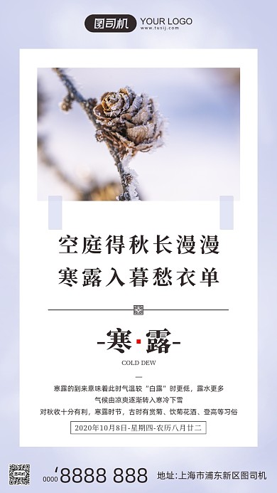 寒露节气小清新松果摄影图手机海报