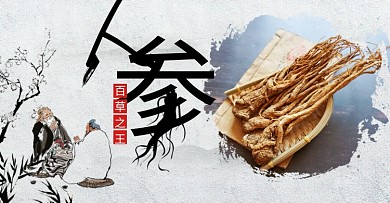 中国风人参养生保健品电商banner