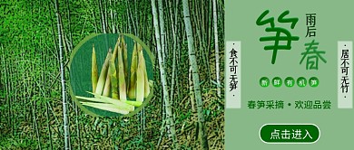 春笋采摘公众号封面
