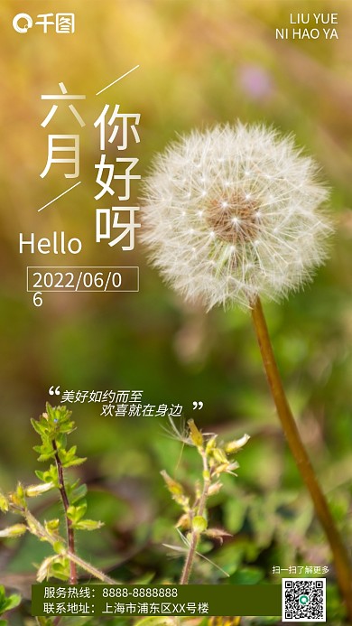 6月你好六月服务热线排版手机海报