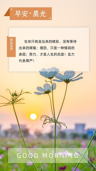 早安你好小清新文章配图