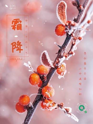 创意简约霜降摄影图节日海报