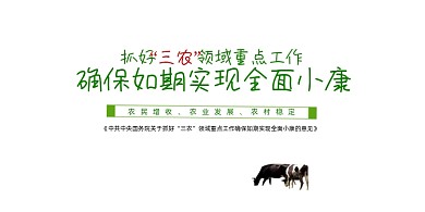 绿色清新抓好三农展板