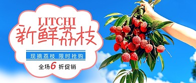 蓝色简约新鲜荔枝促销新媒体配图