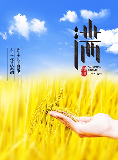 简约大气摄影小满海报