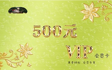 商务VIP会员卡模板