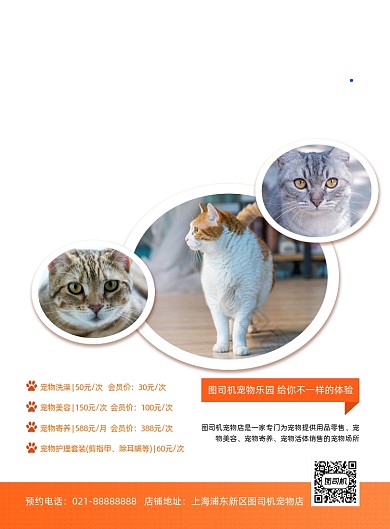 宠物之家宠物店宣传印刷海报