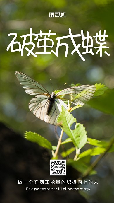 破茧成蝶正能量励志手机海报