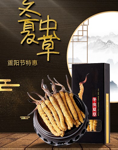 重阳节活动冬虫夏草滋补保健品海报