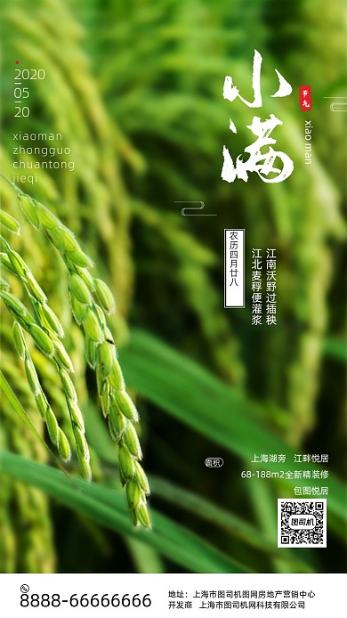 绿色田园小满节气海报