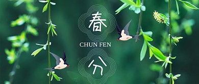 春分节气春天柳树摄影图公众号首图