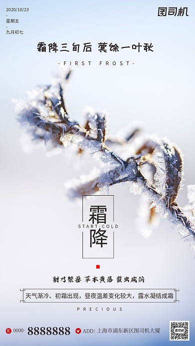霜降节气文艺冰霜摄影图手机海报