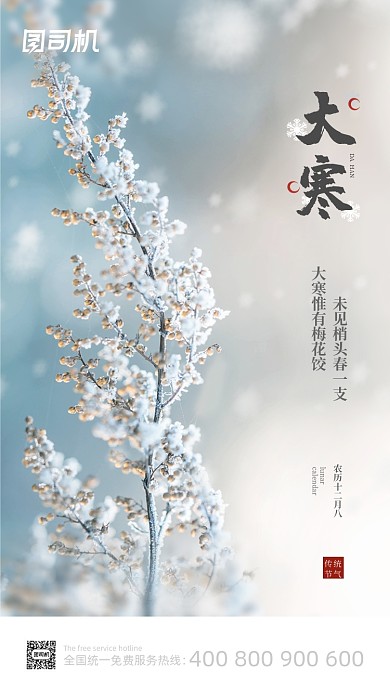 大寒传统节气大气简约手机海报