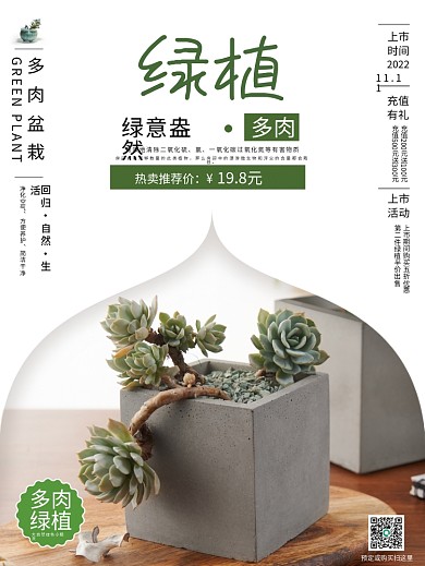 简约多肉盆栽销售海报