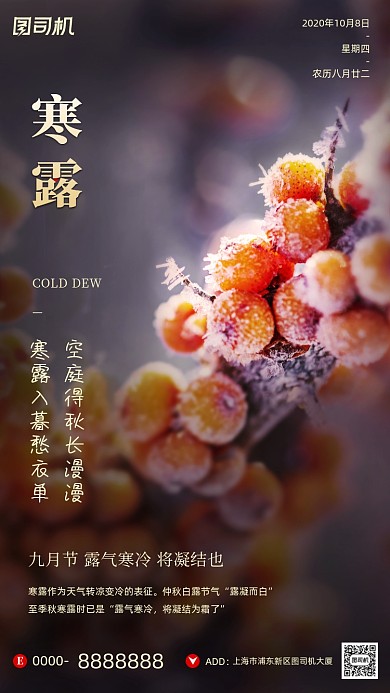 寒露节气摄影图文艺清新霜手机海报