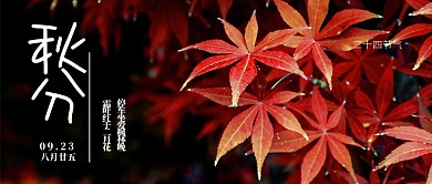 秋分节气公众号首图