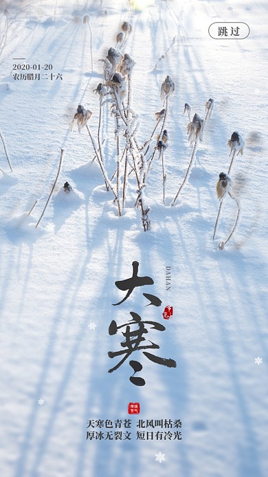 雪地节气大寒启动页海报