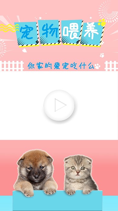 宠物喂养知识讲解直播视频边框