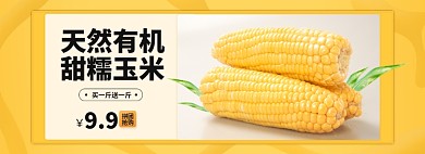 生鲜蔬菜有机玉米简约风格促销食品海报