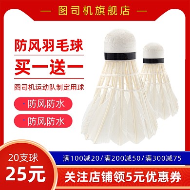 运动羽毛球主图直通车