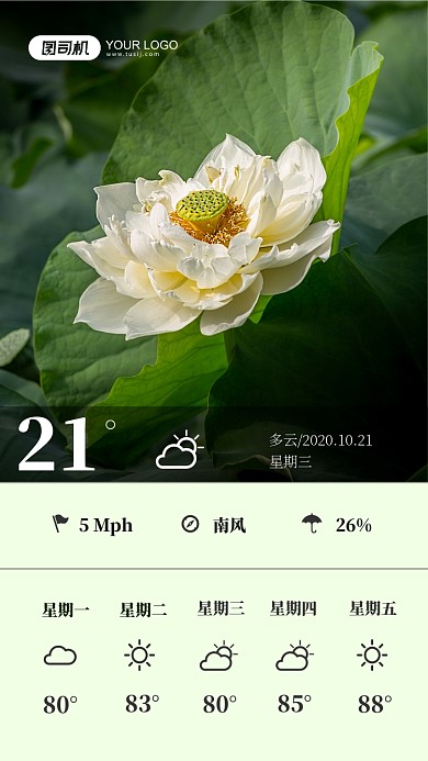 绿色摄影图天气日签手机海报