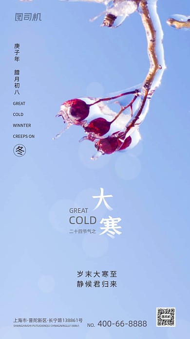 大寒节气文艺简约大气手机海报