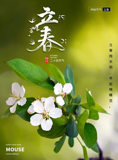 简约传统立春节气海报