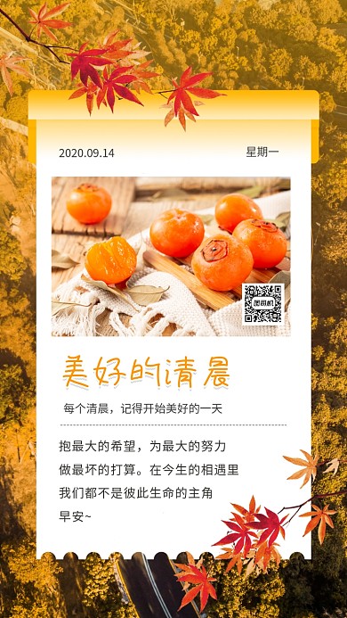 美好的清晨简约摄影图日签手机海报