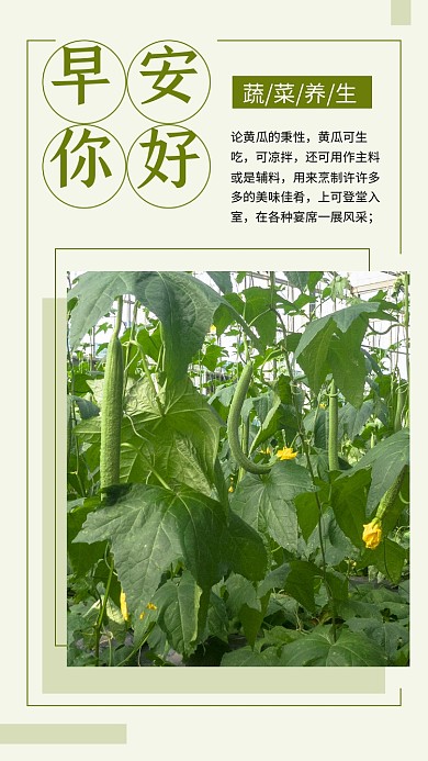 绿色简约早安你好文章配图