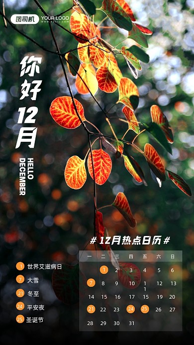 你好十二月热点日历宣传手机海报
