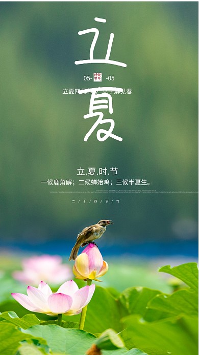 立夏节气简约原创海报