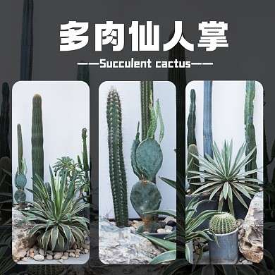 多肉仙人掌植物淘宝主图直通车模板