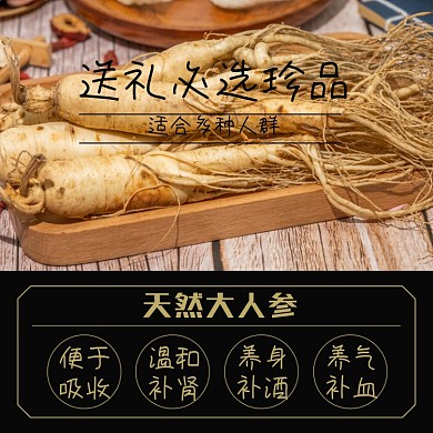 食品人参补品淘宝主图直通车模板