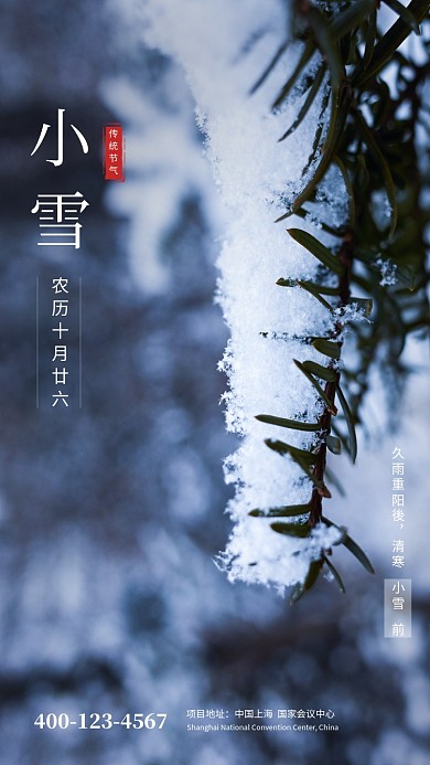 清新简约小雪传统节气手机海报模板
