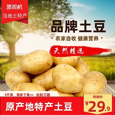 食品土特产土豆马铃薯主图