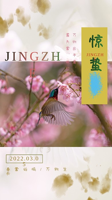 惊蛰二十四节气简约清新海报