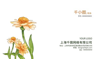 小清新绿色地址邮箱商务名片