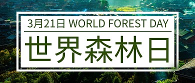 世界森林日森林树林绿色简约公众号首图