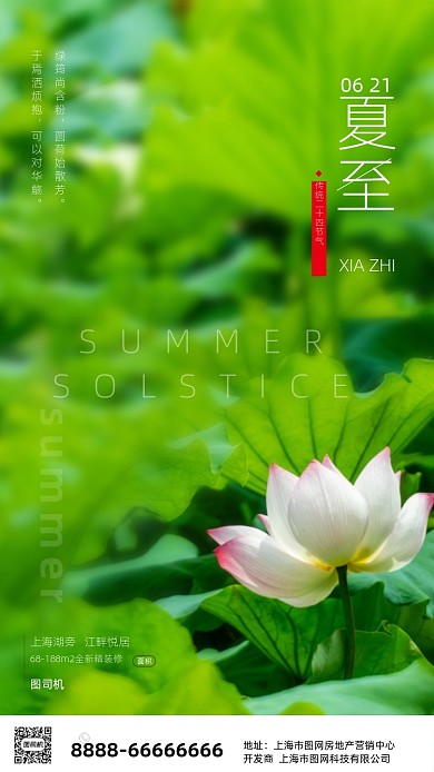 文艺清新夏至海报