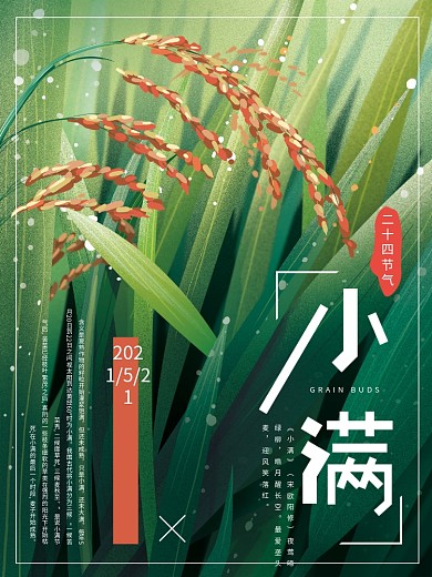 原创手绘小满节气海报