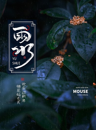 二十四节气雨水海报