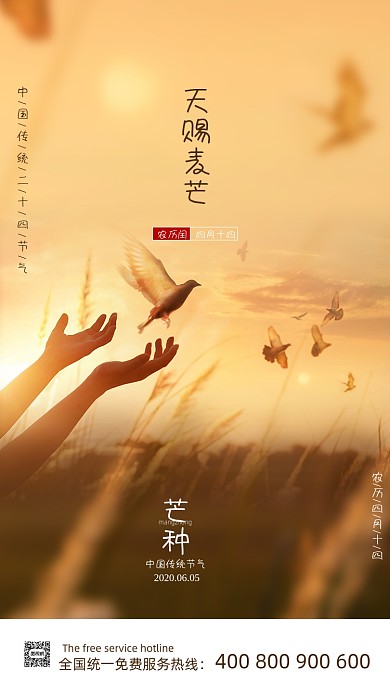 摄影黄昏芒种海报