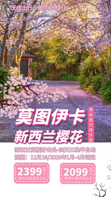 新西兰樱花澳洲旅游手机海报