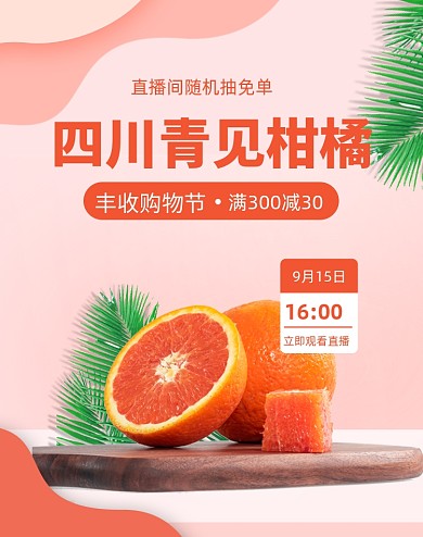 简约柑橘直播水果购物节福利海报