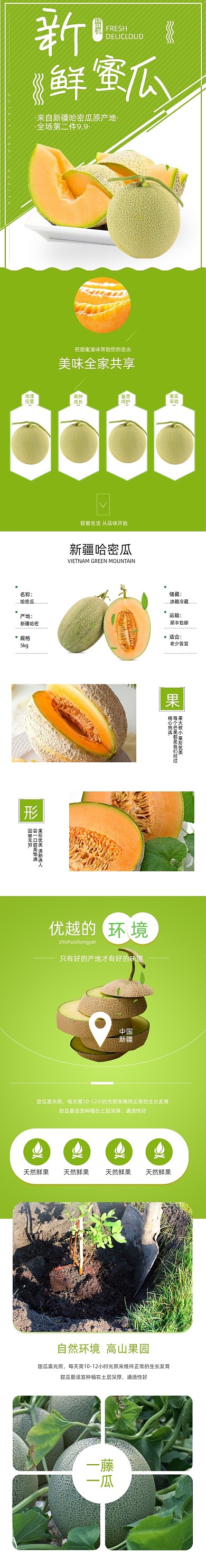 生鲜食品甜瓜哈密瓜水果详情页