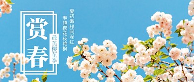 赏春樱花节樱花粉色蓝色摄影简洁公众号首图