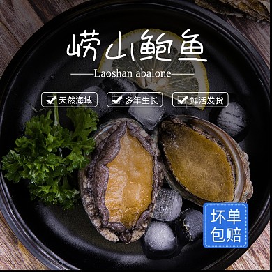 鲍鱼海鲜食品淘宝主图直通车模板