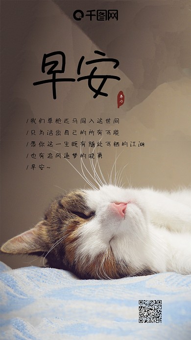 早安你好猫咪文艺问候心语心情手机海报